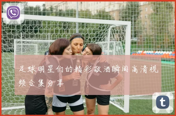 足球明星们的精彩敬酒瞬间高清视频合集分享