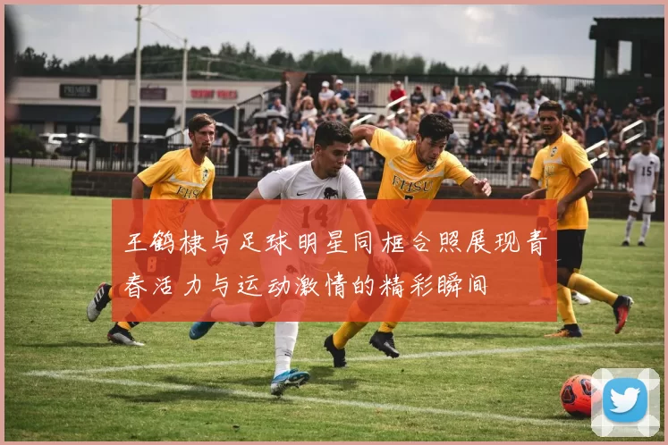 王鹤棣与足球明星同框合照展现青春活力与运动激情的精彩瞬间