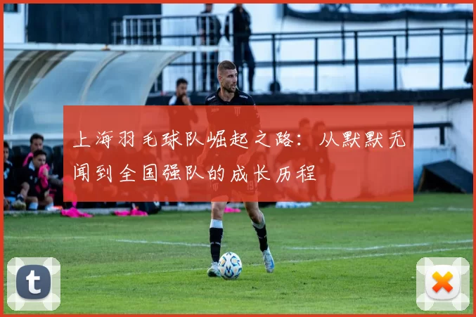 上海羽毛球队崛起之路：从默默无闻到全国强队的成长历程