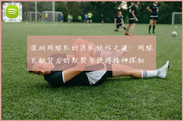 深圳网球队的团队协作之道：网球巨献背后的默契与拼搏精神探秘