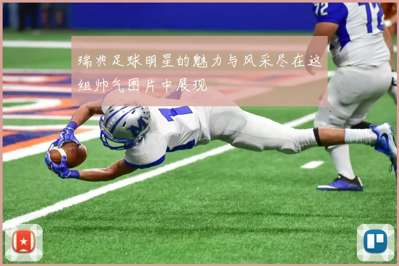 瑞典足球明星的魅力与风采尽在这组帅气图片中展现