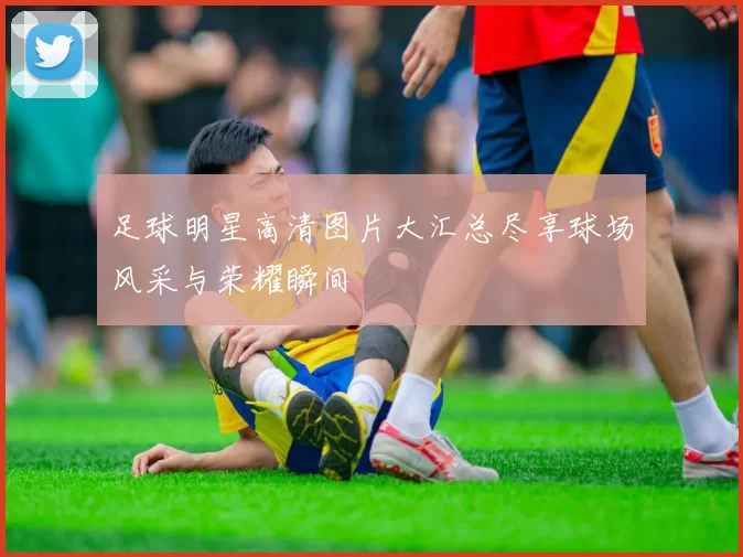 足球明星高清图片大汇总尽享球场风采与荣耀瞬间