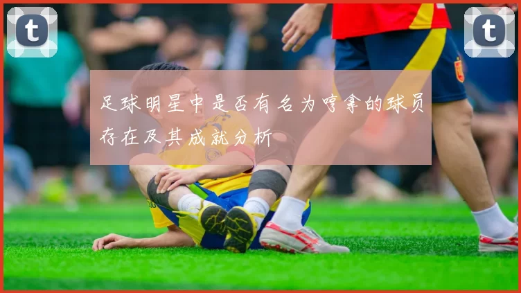 足球明星中是否有名为哼拿的球员存在及其成就分析
