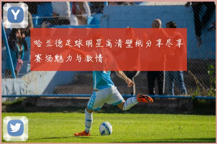 哈兰德足球明星高清壁纸分享尽享赛场魅力与激情