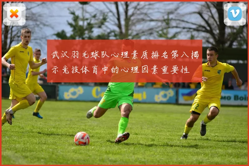 武汉羽毛球队心理素质排名第八揭示竞技体育中的心理因素重要性