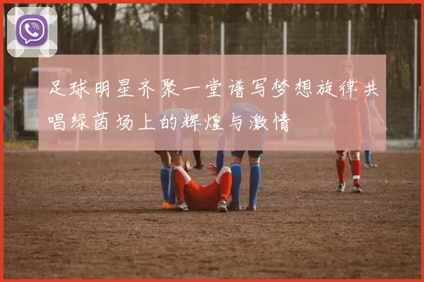 足球明星齐聚一堂谱写梦想旋律共唱绿茵场上的辉煌与激情