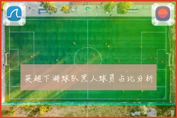 英超下游球队黑人球员占比分析