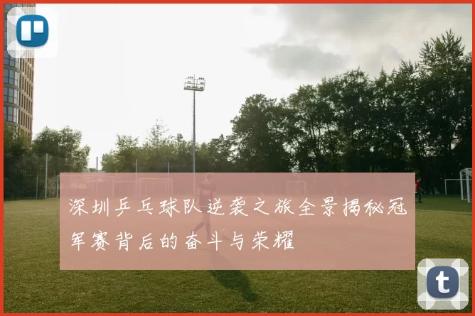深圳乒乓球队逆袭之旅全景揭秘冠军赛背后的奋斗与荣耀