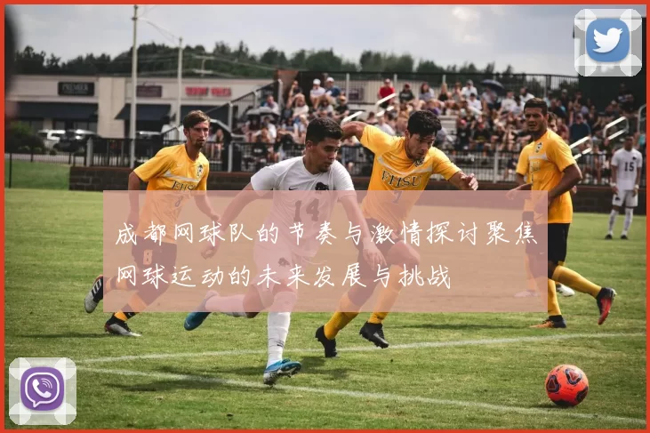 成都网球队的节奏与激情探讨聚焦网球运动的未来发展与挑战