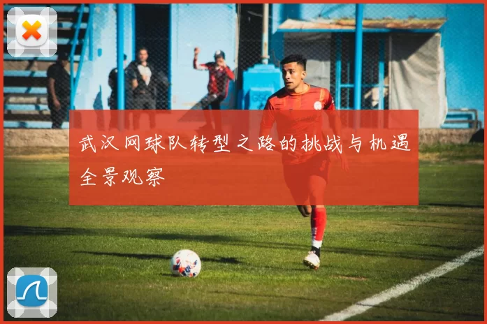 武汉网球队转型之路的挑战与机遇全景观察