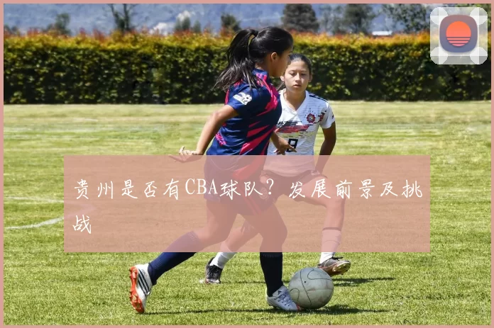贵州是否有CBA球队？发展前景及挑战