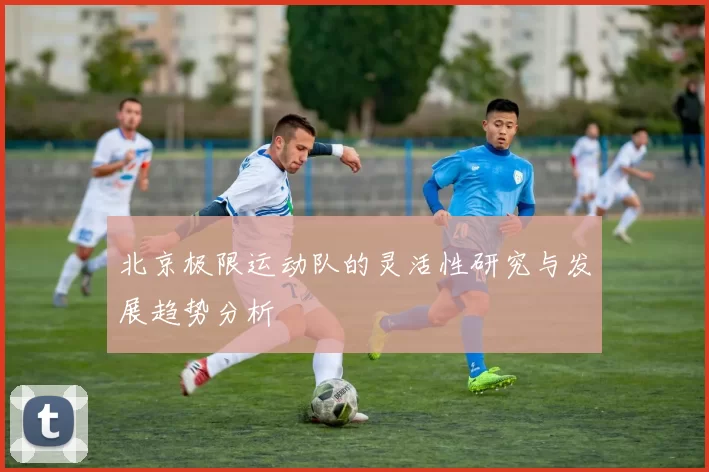 北京极限运动队的灵活性研究与发展趋势分析