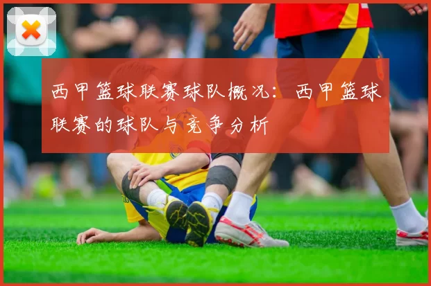西甲篮球联赛球队概况：西甲篮球联赛的球队与竞争分析