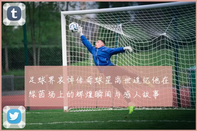 足球界哀悼传奇球星离世追忆他在绿茵场上的辉煌瞬间与感人故事
