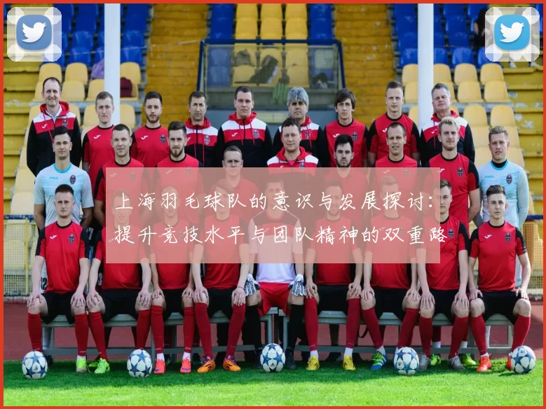 上海羽毛球队的意识与发展探讨：提升竞技水平与团队精神的双重路径