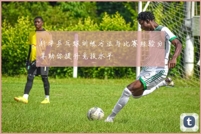 科学乒乓球训练方法与比赛经验分享助你提升竞技水平