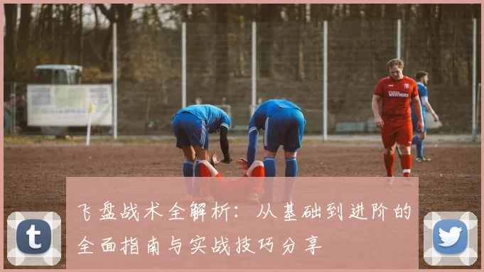 飞盘战术全解析：从基础到进阶的全面指南与实战技巧分享